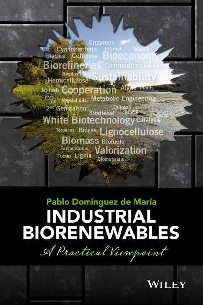 Скачать книгу Industrial Biorenewables. A Practical Viewpoint