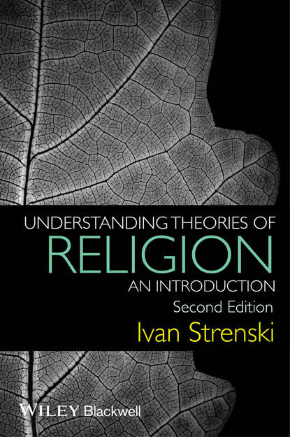 Скачать книгу Understanding Theories of Religion. An Introduction