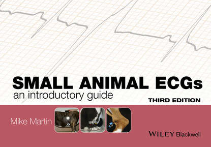 Скачать книгу Small Animal ECGs. An Introductory Guide