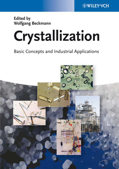 Скачать книгу Crystallization. Basic Concepts and Industrial Applications