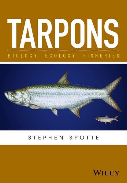 Скачать книгу Tarpons. Biology, Ecology, Fisheries