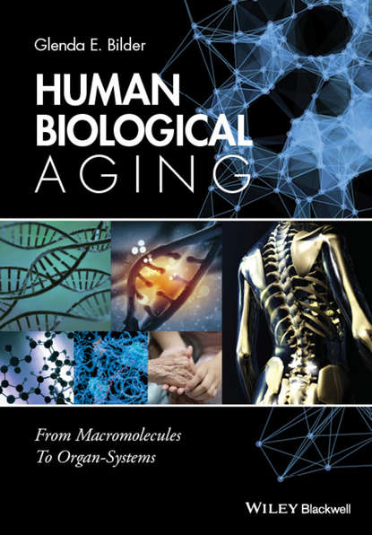 Скачать книгу Human Biological Aging. From Macromolecules to Organ Systems