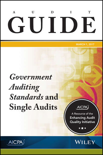 Скачать книгу Audit Guide. Government Auditing Standards and Single Audits 2017