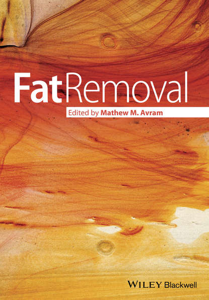 Скачать книгу Fat Removal. Invasive and Non-invasive Body Contouring