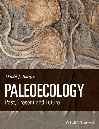 Скачать книгу Paleoecology. Past, Present and Future