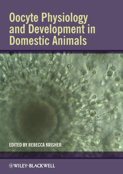 Скачать книгу Oocyte Physiology and Development in Domestic Animals