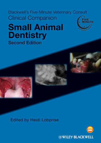 Скачать книгу Blackwell's Five-Minute Veterinary Consult Clinical Companion. Small Animal Dentistry