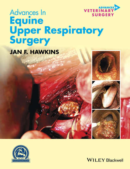 Скачать книгу Advances in Equine Upper Respiratory Surgery