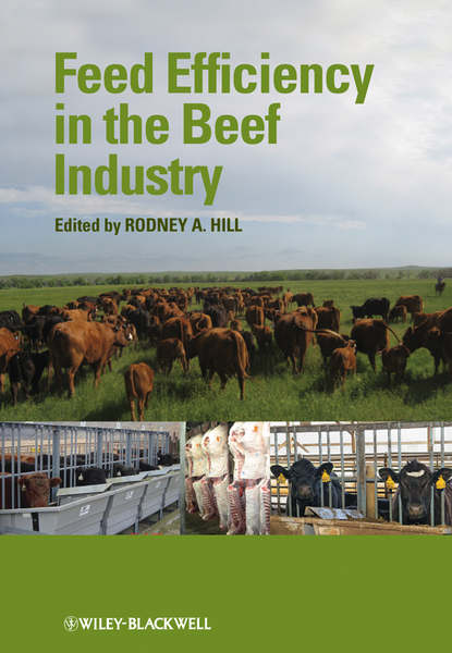 Скачать книгу Feed Efficiency in the Beef Industry