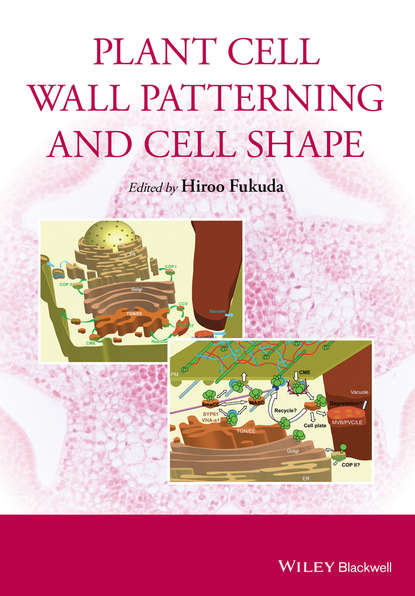 Скачать книгу Plant Cell Wall Patterning and Cell Shape