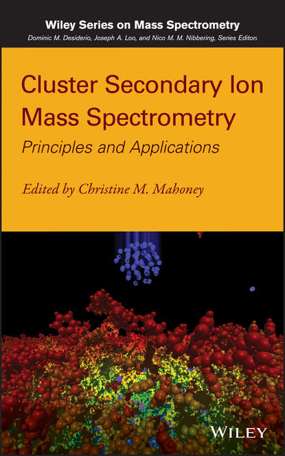 Скачать книгу Cluster Secondary Ion Mass Spectrometry. Principles and Applications