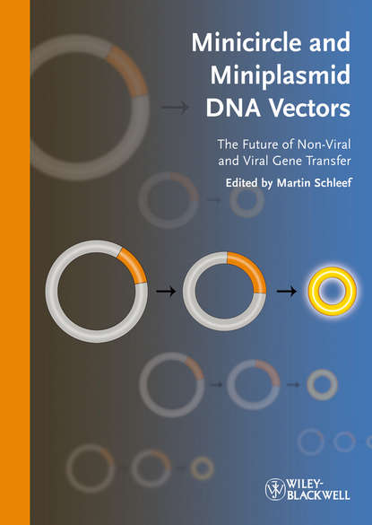 Скачать книгу Minicircle and Miniplasmid DNA Vectors. The Future of Non-viral and Viral Gene Transfer