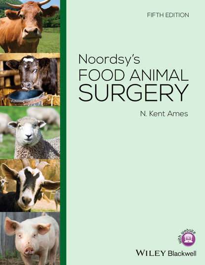 Скачать книгу Noordsy's Food Animal Surgery