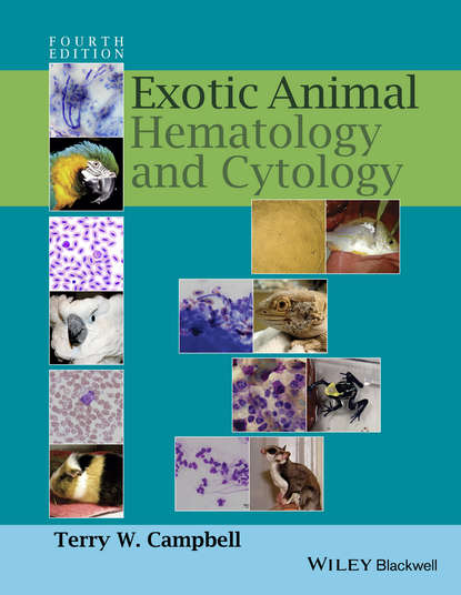 Скачать книгу Exotic Animal Hematology and Cytology