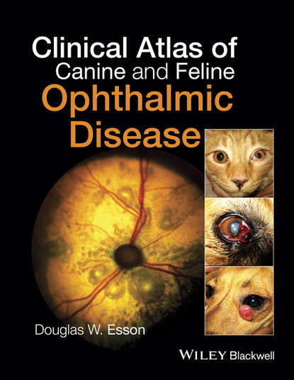 Скачать книгу Clinical Atlas of Canine and Feline Ophthalmic Disease