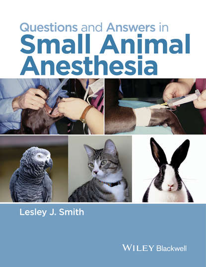Скачать книгу Questions and Answers in Small Animal Anesthesia