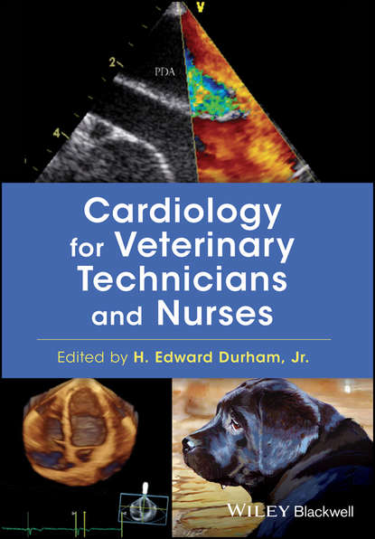 Скачать книгу Cardiology for Veterinary Technicians and Nurses