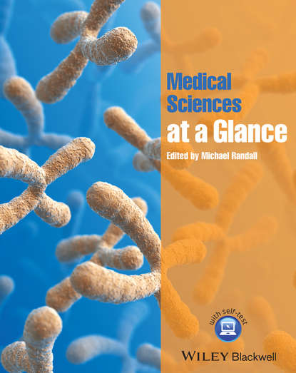 Скачать книгу Medical Sciences at a Glance