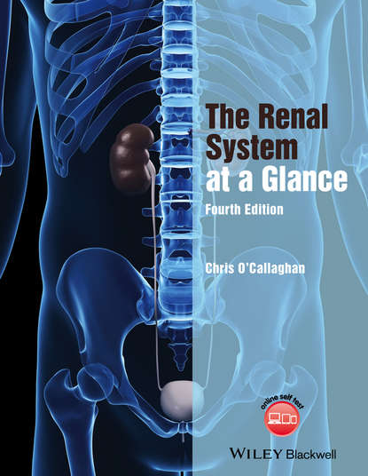Скачать книгу The Renal System at a Glance