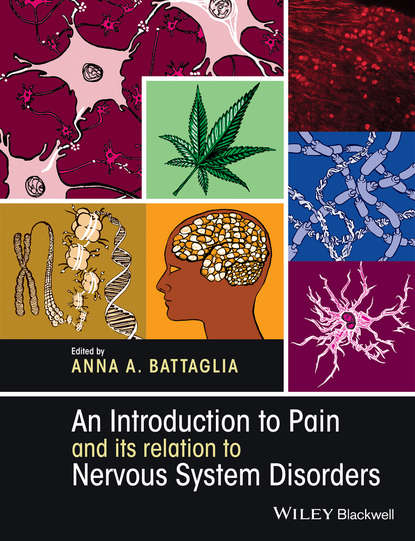 Скачать книгу An Introduction to Pain and its relation to Nervous System Disorders