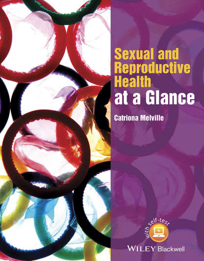 Скачать книгу Sexual and Reproductive Health at a Glance