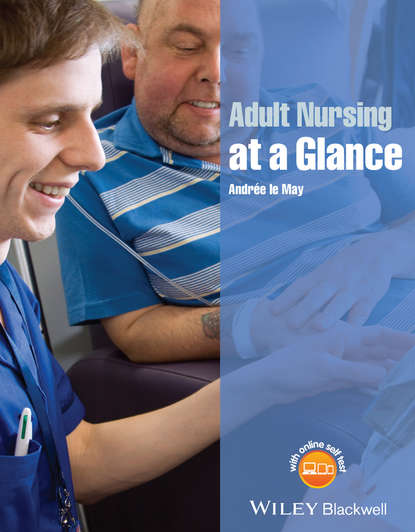 Скачать книгу Adult Nursing at a Glance