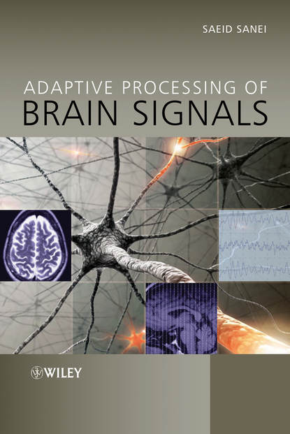 Скачать книгу Adaptive Processing of Brain Signals