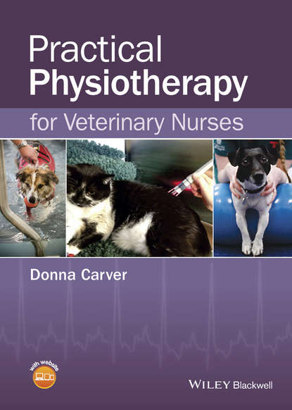 Скачать книгу Practical Physiotherapy for Veterinary Nurses