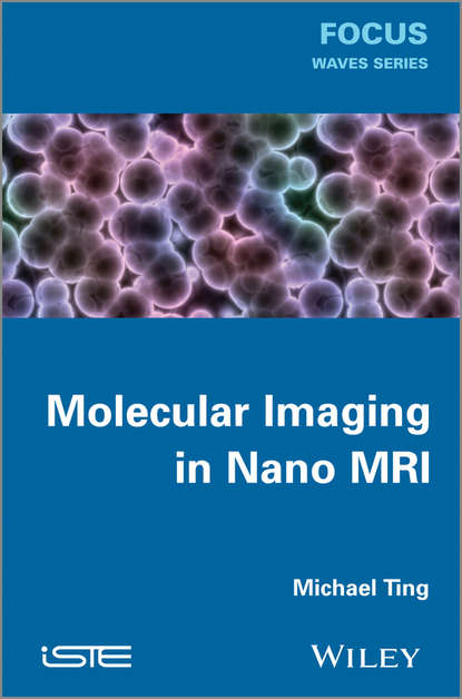 Скачать книгу Molecular Imaging in Nano MRI