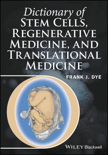 Скачать книгу Dictionary of Stem Cells, Regenerative Medicine, and Translational Medicine