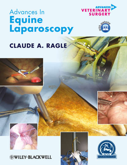 Скачать книгу Advances in Equine Laparoscopy