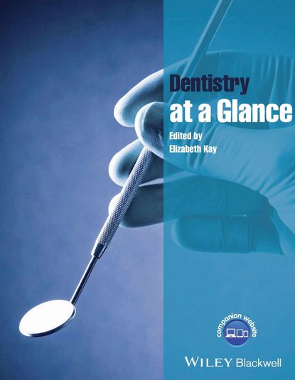 Скачать книгу Dentistry at a Glance