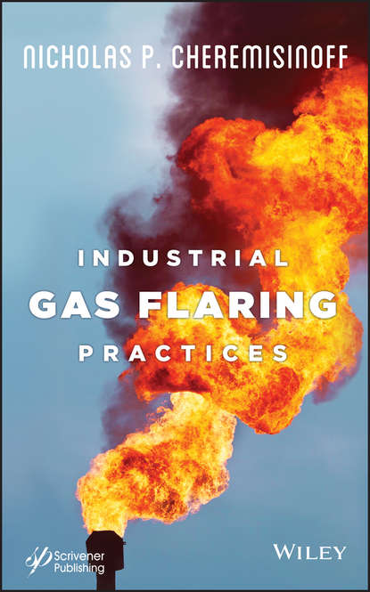 Скачать книгу Industrial Gas Flaring Practices