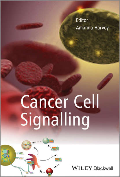 Скачать книгу Cancer Cell Signalling