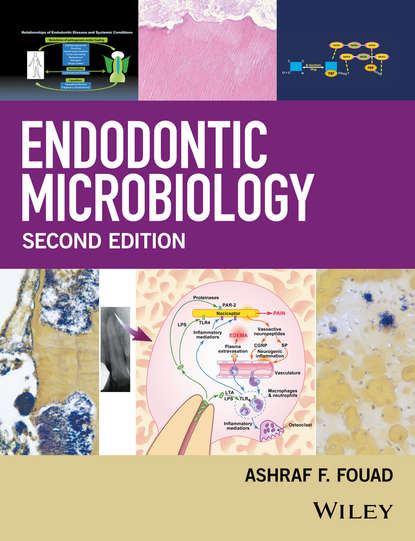 Скачать книгу Endodontic Microbiology