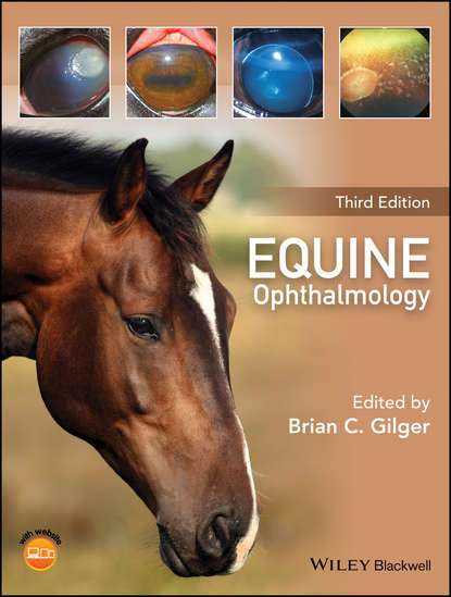 Скачать книгу Equine Ophthalmology