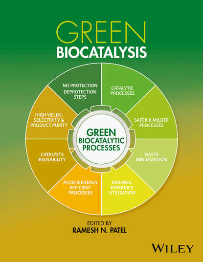 Скачать книгу Green Biocatalysis