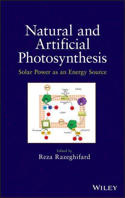 Скачать книгу Natural and Artificial Photosynthesis. Solar Power as an Energy Source