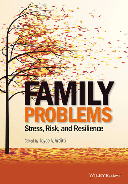 Скачать книгу Family Problems. Stress, Risk, and Resilience