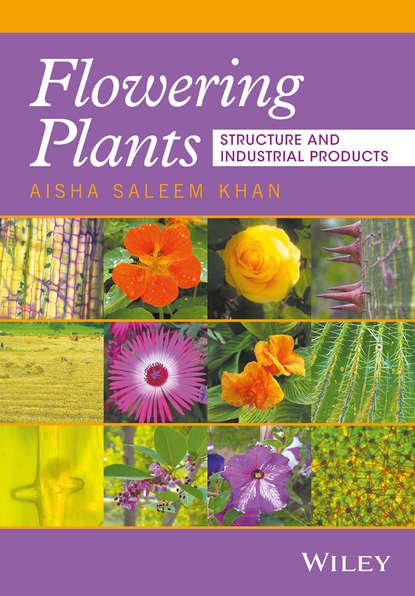 Скачать книгу Flowering Plants. Structure and Industrial Products