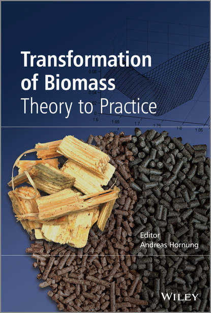 Скачать книгу Transformation of Biomass. Theory to Practice