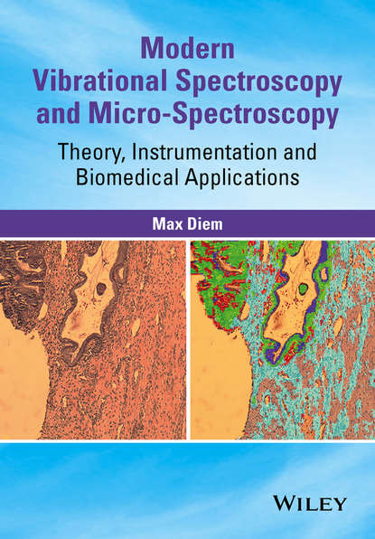 Скачать книгу Modern Vibrational Spectroscopy and Micro-Spectroscopy. Theory, Instrumentation and Biomedical Applications