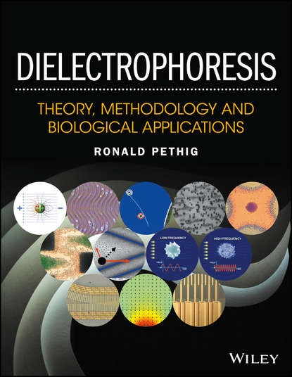 Скачать книгу Dielectrophoresis. Theory, Methodology and Biological Applications