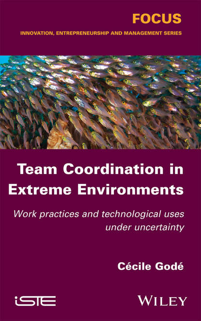 Скачать книгу Team Coordination in Extreme Environments. Work Practices and Technological Uses under Uncertainty
