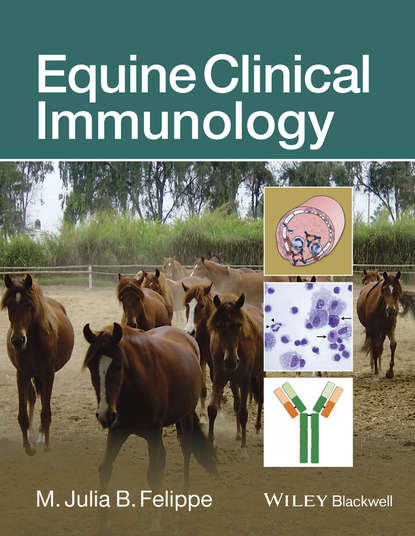 Скачать книгу Equine Clinical Immunology