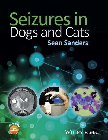Скачать книгу Seizures in Dogs and Cats