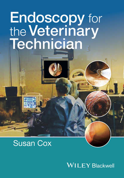 Скачать книгу Endoscopy for the Veterinary Technician