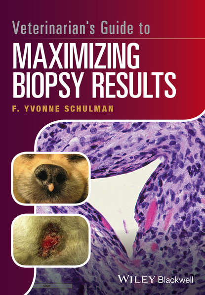 Скачать книгу Veterinarian's Guide to Maximizing Biopsy Results