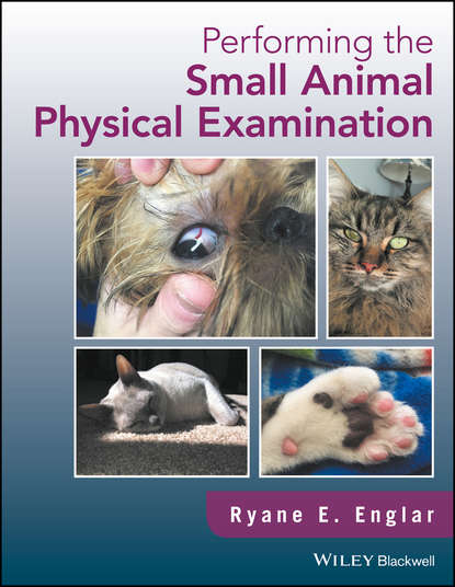 Скачать книгу Performing the Small Animal Physical Examination