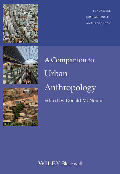 Скачать книгу A Companion to Urban Anthropology